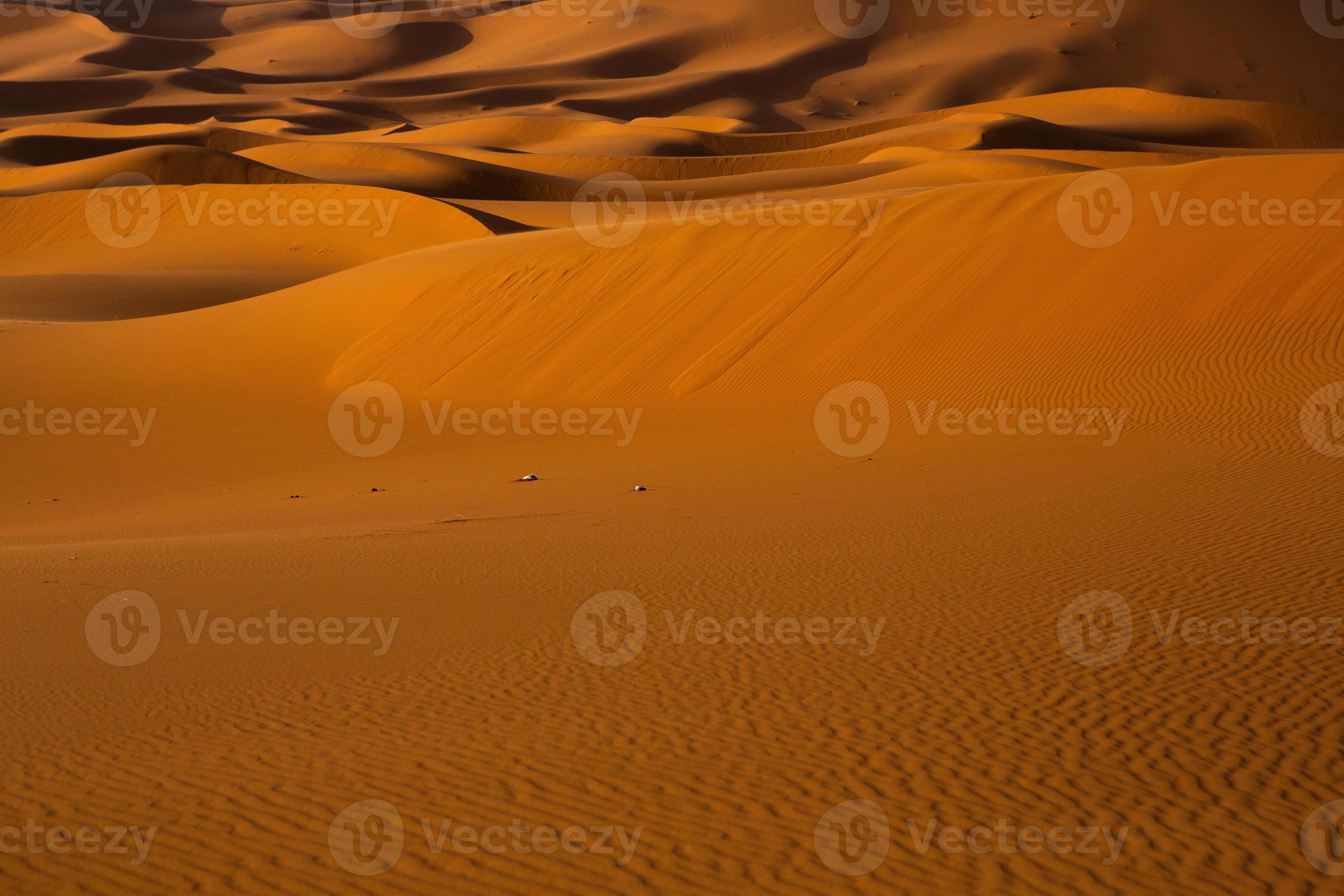 Beautiful sand dunes in the Sahara Desert in Morocco. Landscape in