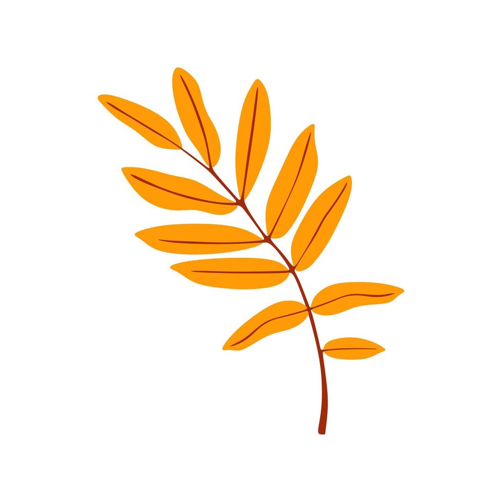 yellow orange leaves autumn. Vector illustration 7924694 Vector Art at