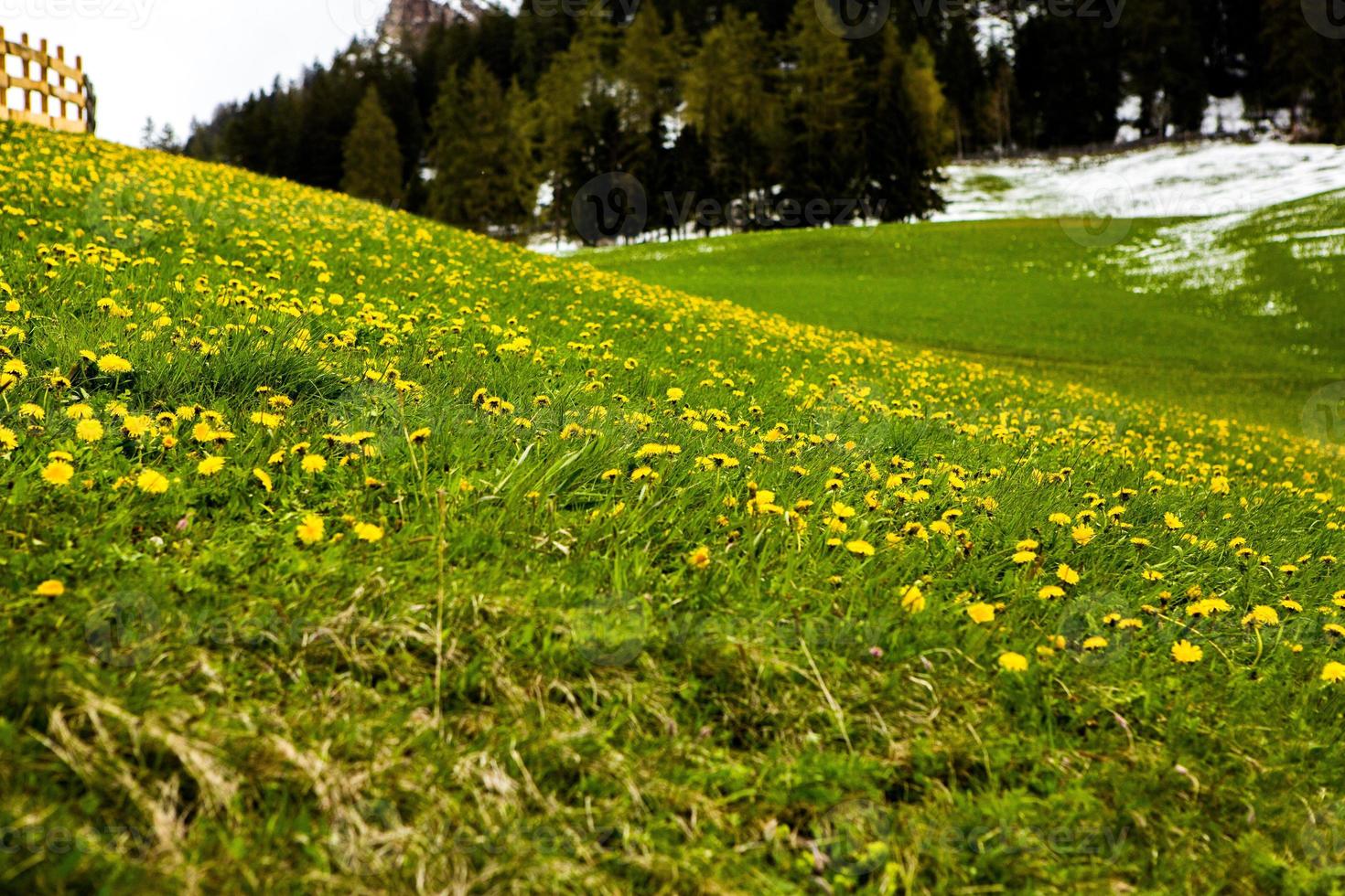 Beautiful mountain scenery in the Alps photo