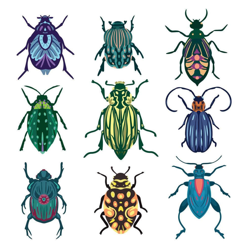 Vector Set of Various Colorful Beetles