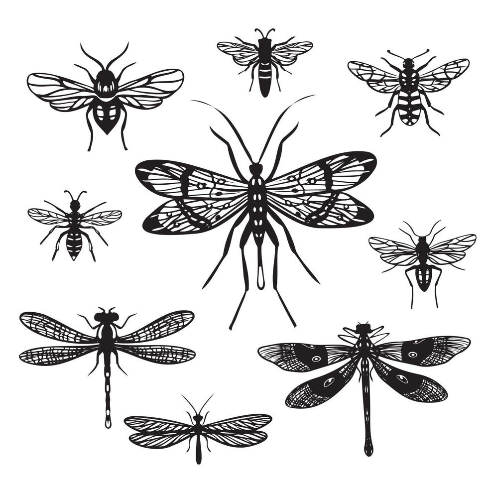 Set of Silhouettes of Flying Insects. Graphic Illustrations of Flying Insects vector