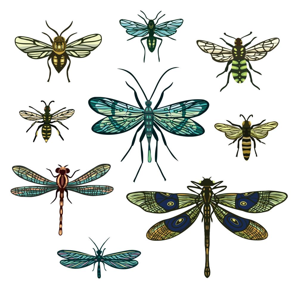 conjunto de diferentes insectos voladores. vector