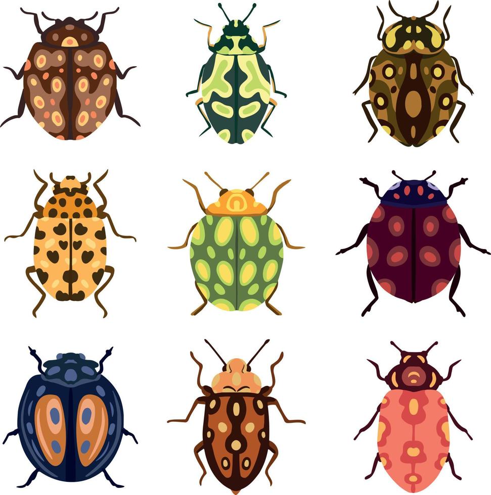 Vector Set of Beautiful Colorful Beetles with Spots