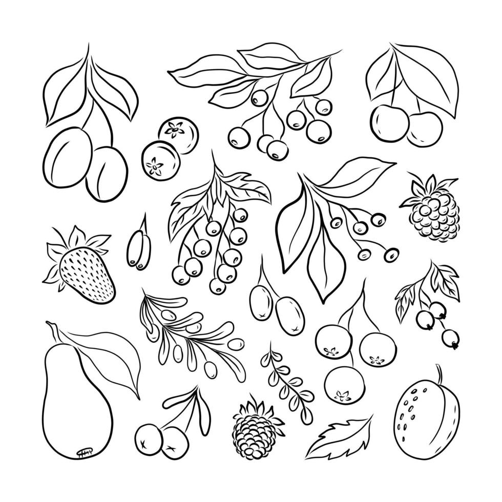 LARGE SET OF BLACK SILHOUETTES OF BERRIES AND FRUITS ON A WHITE BACKGROUND IN VECTOR