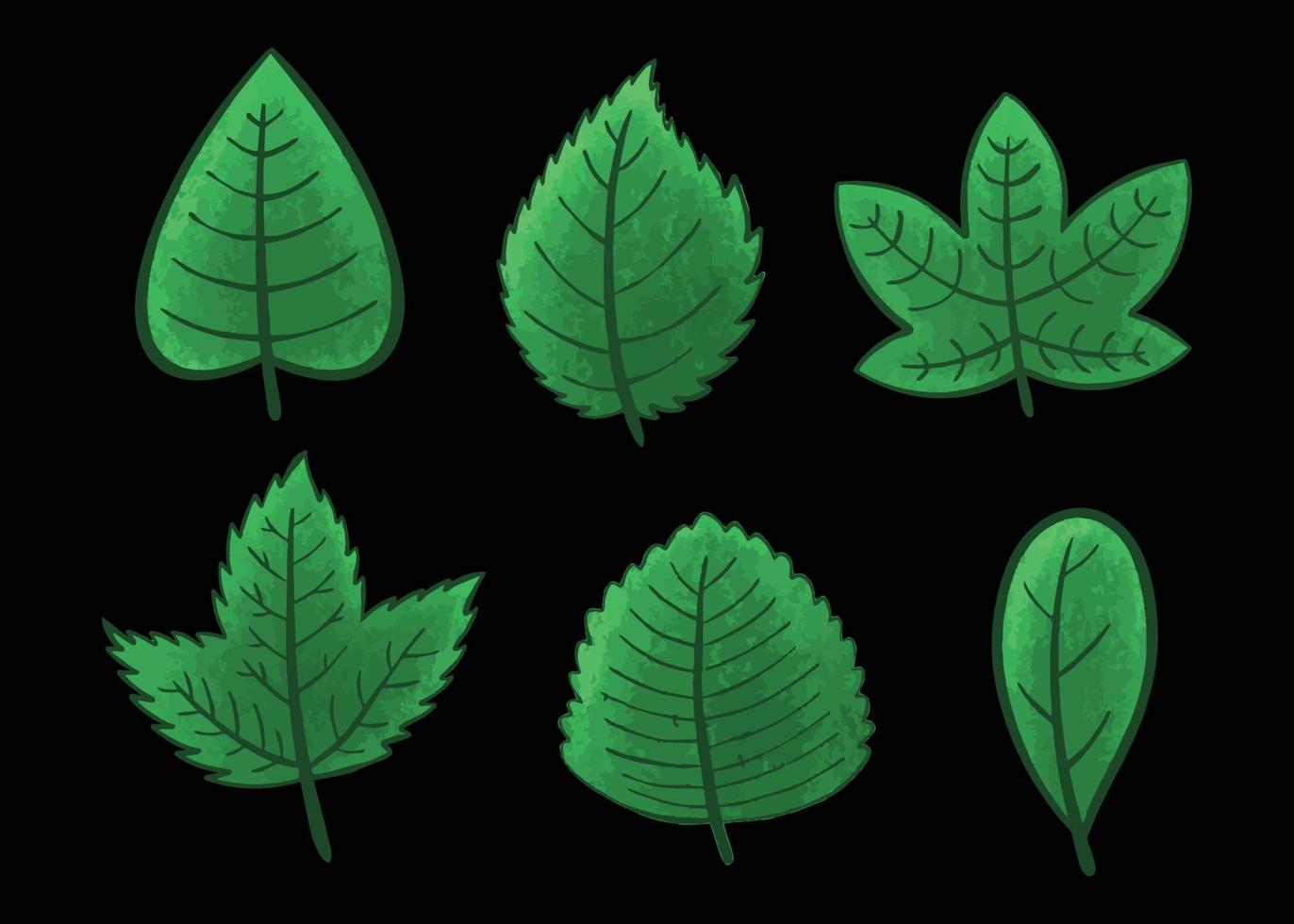 Green leaf set vector illustration vector