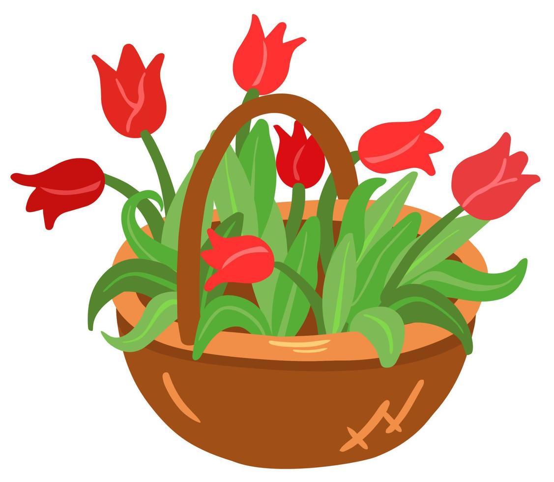 Basket with red tulips. Hand drawn vector illustration. Suitable for stickers, greeting cards, gift paper.