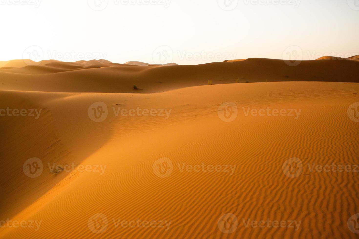 Beautiful sand dunes in the Sahara Desert in Morocco. Landscape in Africa in desert. photo