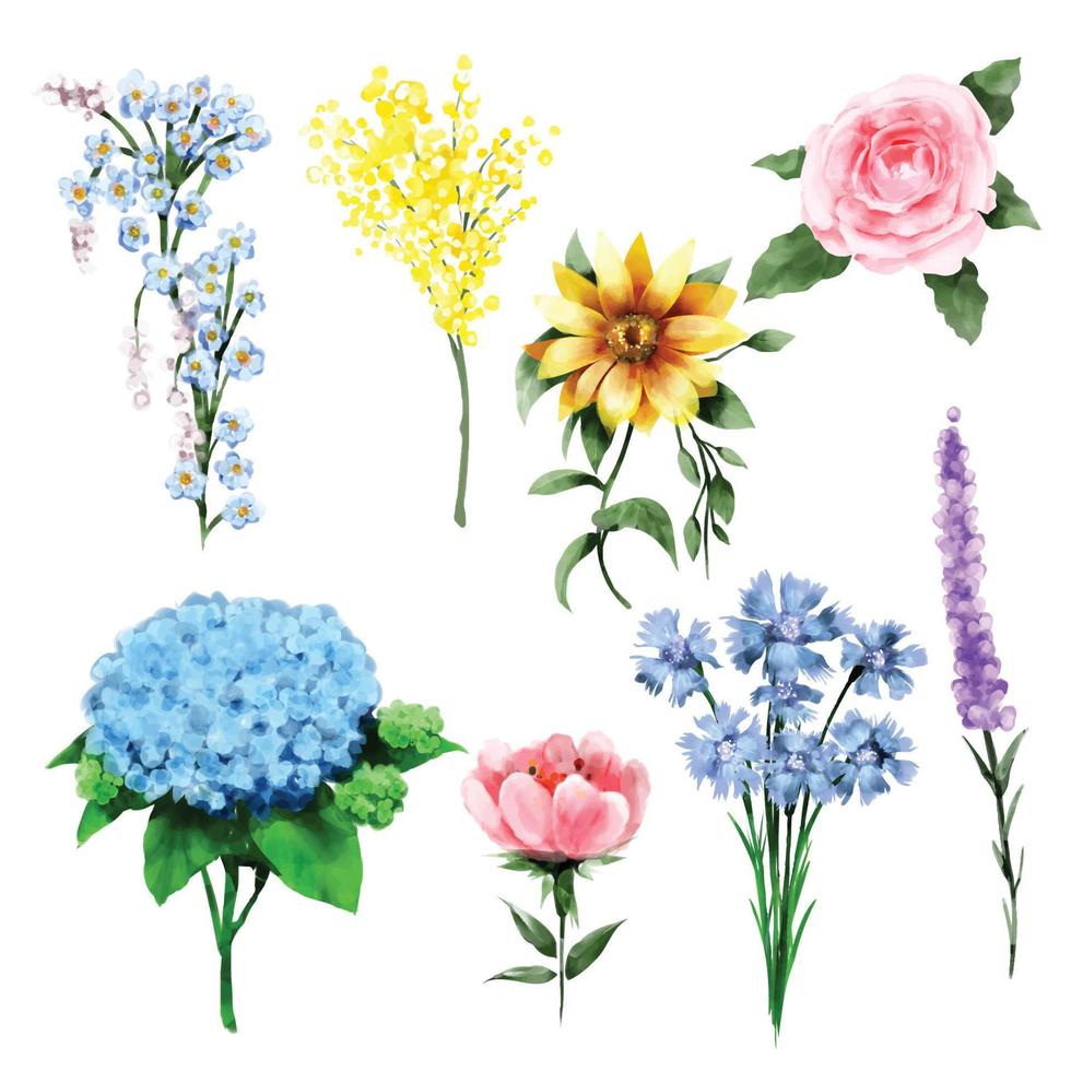 conjunto de estilo acuarela de flores silvestres sobre fondo blanco. vector