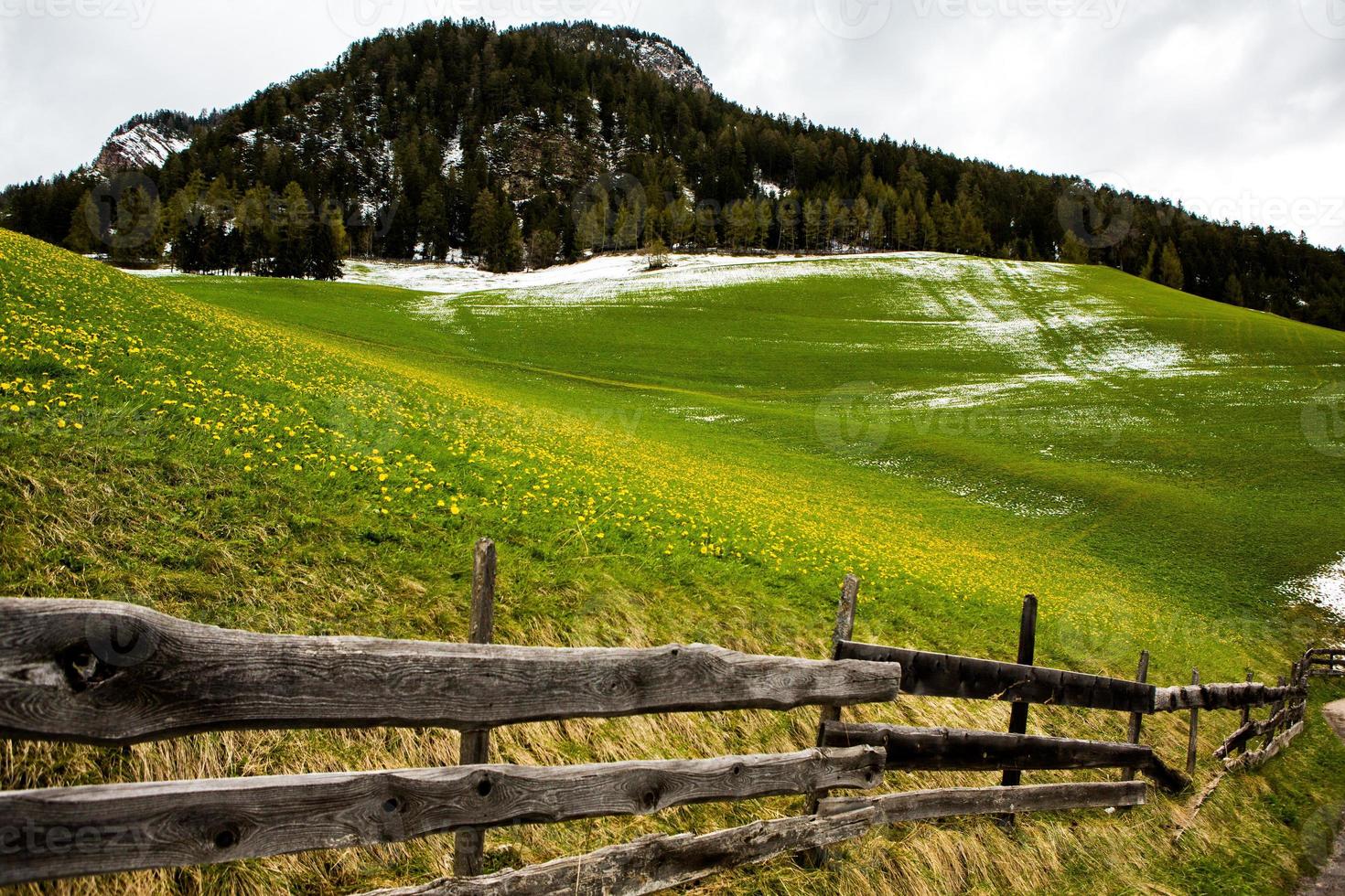 hermosos paisajes de montaña en los Alpes foto