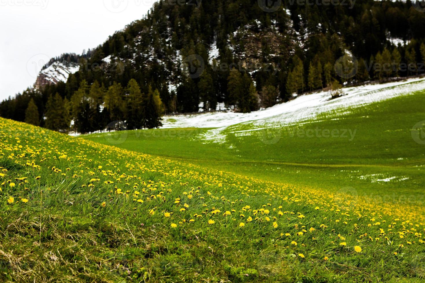 hermosos paisajes de montaña en los Alpes foto