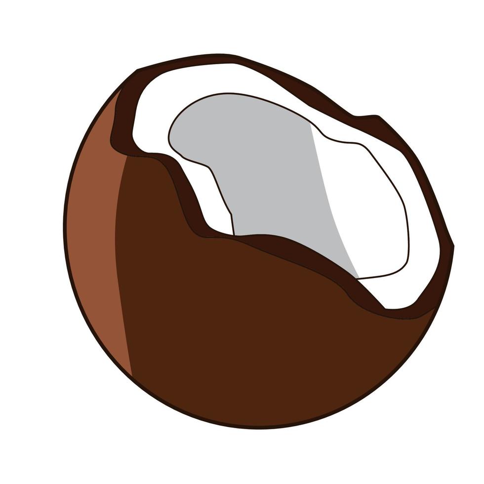 old coconut fruit vector design