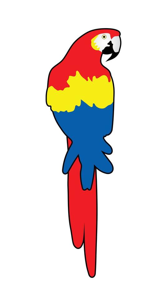 guacamayo de cola larga vector