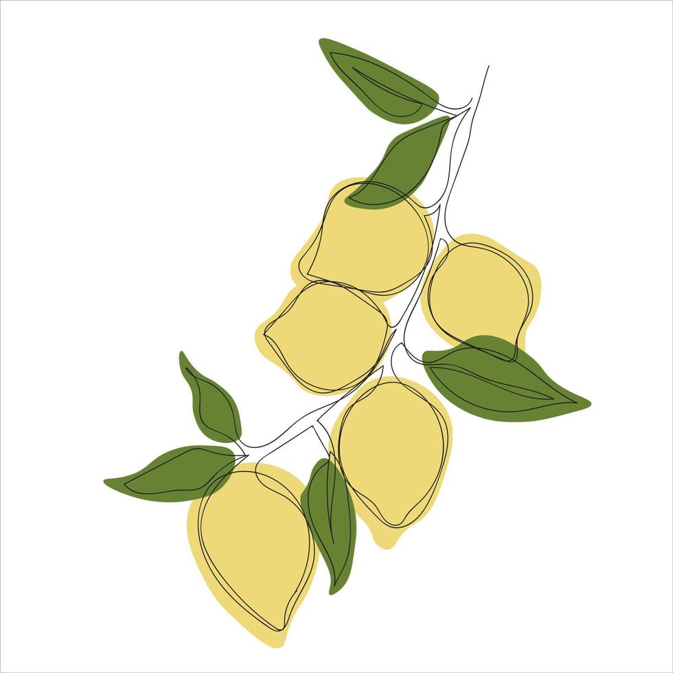 minimalistic lemon branch line art vector