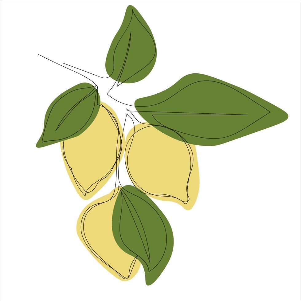 minimalistic lemon branch line art vector