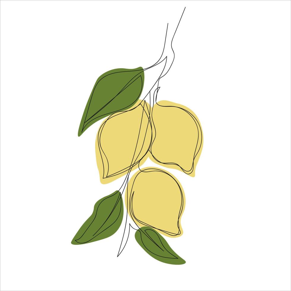 minimalistic lemon branch line art vector