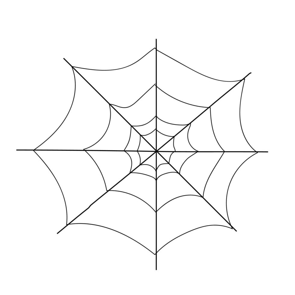 Vector doodle illustration of cobweb