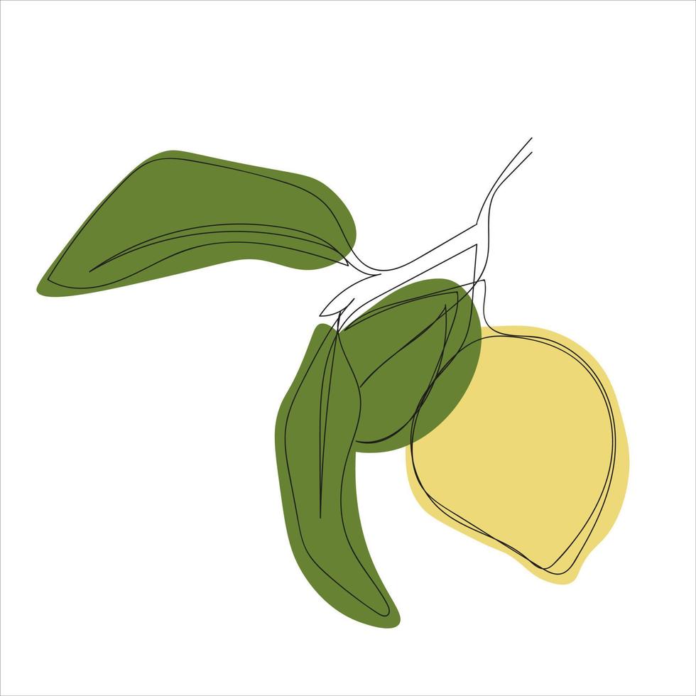 minimalistic lemon branch line art vector