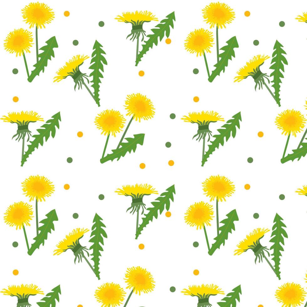 seamless floral pattern. Background with dandelions vector