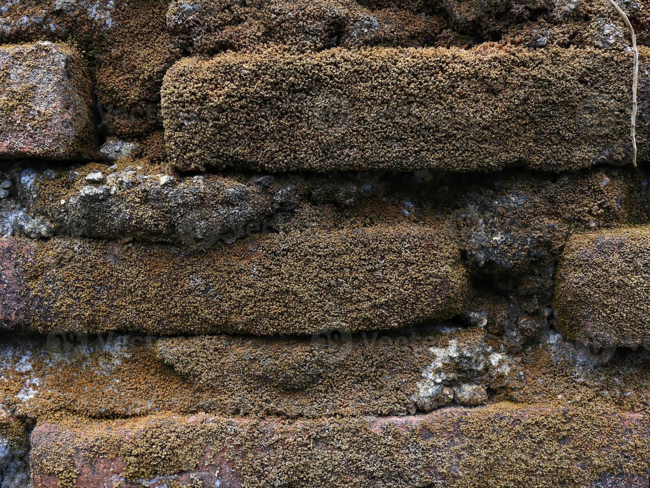 Brick wall close up texture photo