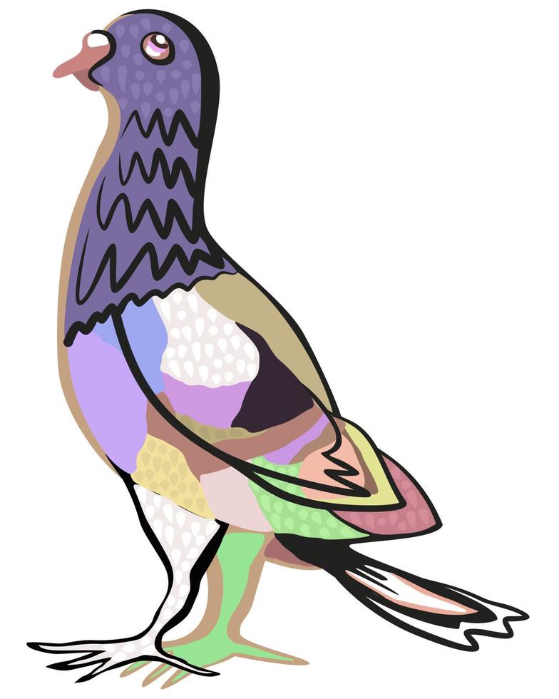 Decorative vector isolated illustration of pigeon.