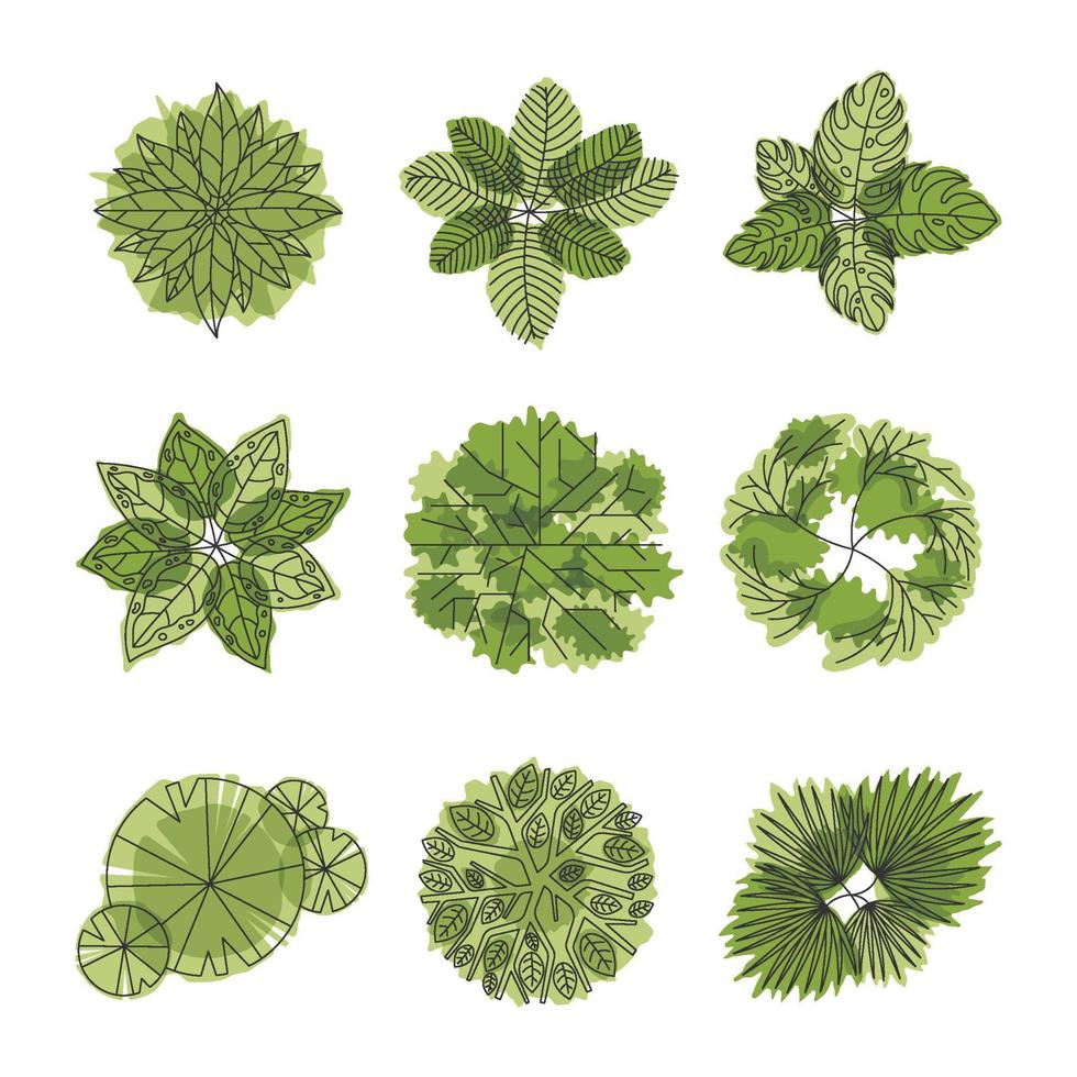 Acrhitechture Tree Plan Element Set vector