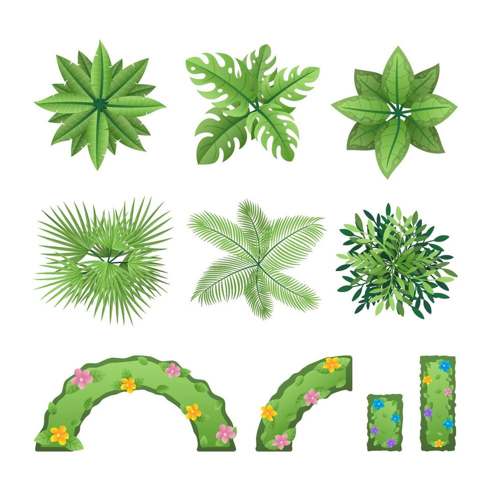 conjunto de elementos de plan de árbol de acrhitechture vector