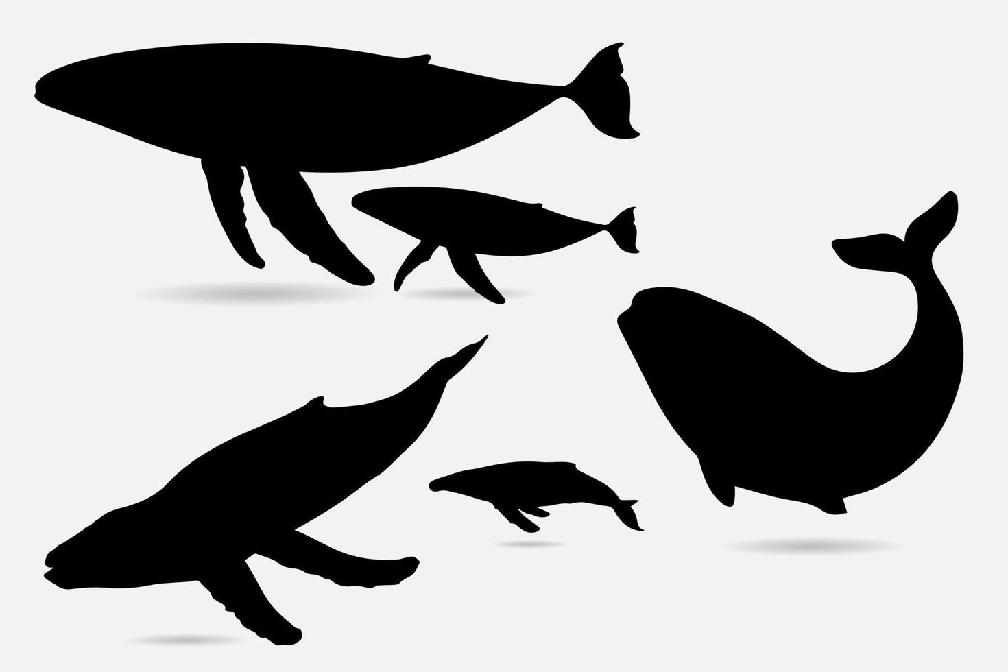 Collection of whale silhouette vector illustration.