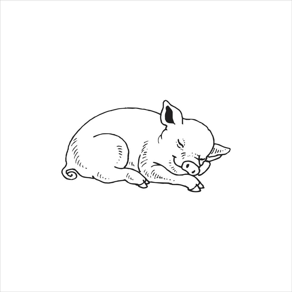 Pig logo design on white background. vector