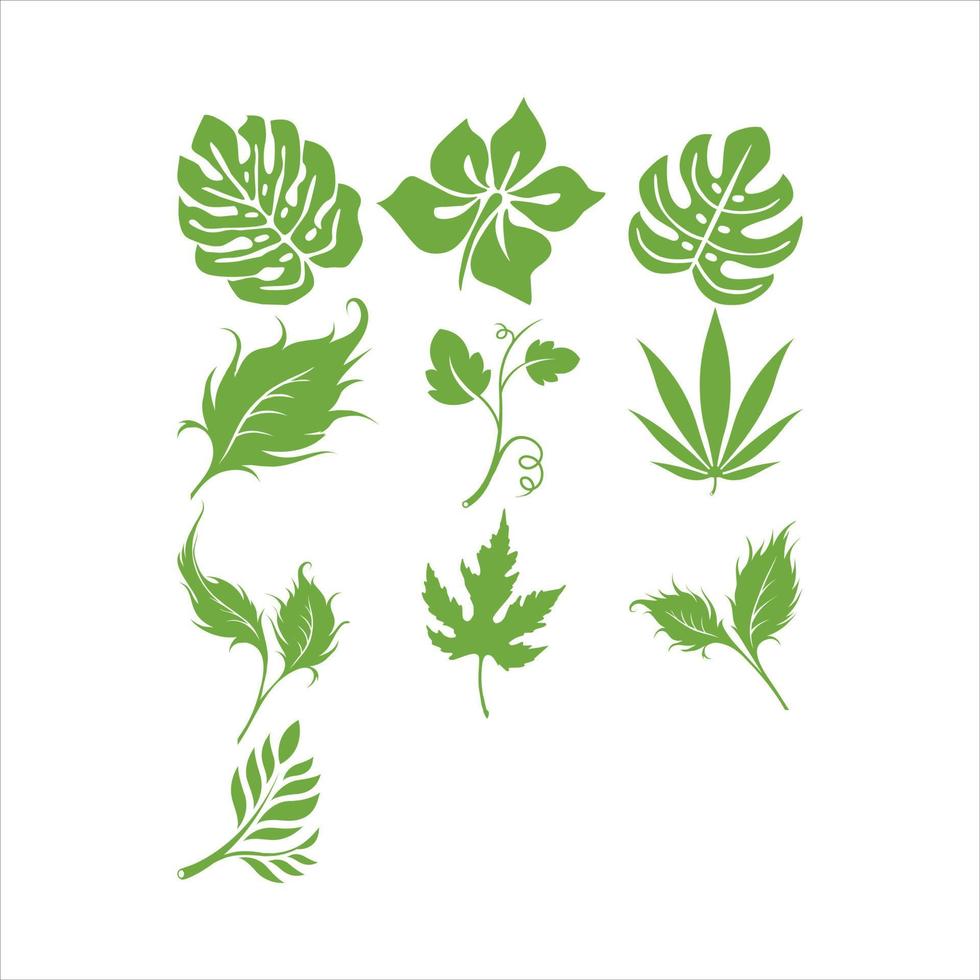 Leaves collection green vector design illustration template.