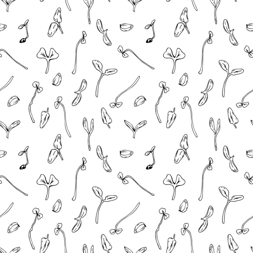 Hand drawn micro greens seamless pattern. Vector illustration in sketch style isolated on white background