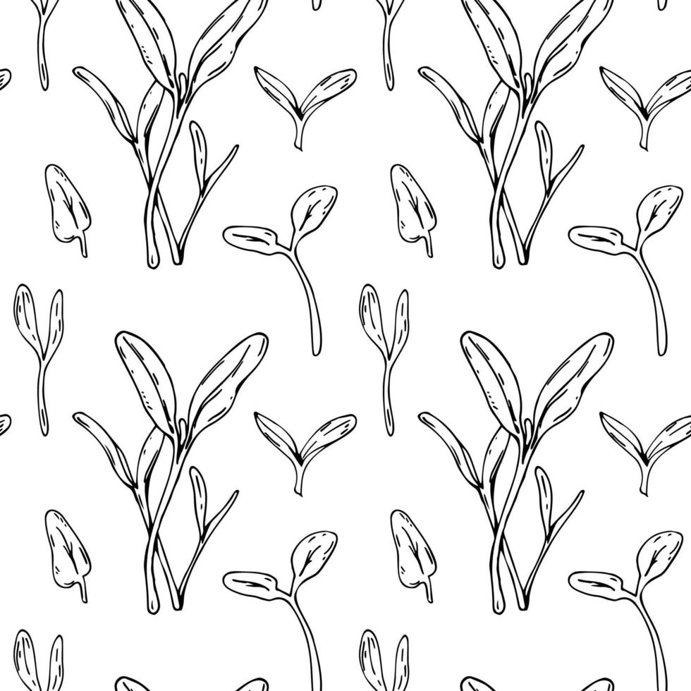 Hand drawn beet micro greens seamless pattern. Vector illustration in sketch style isolated on white background