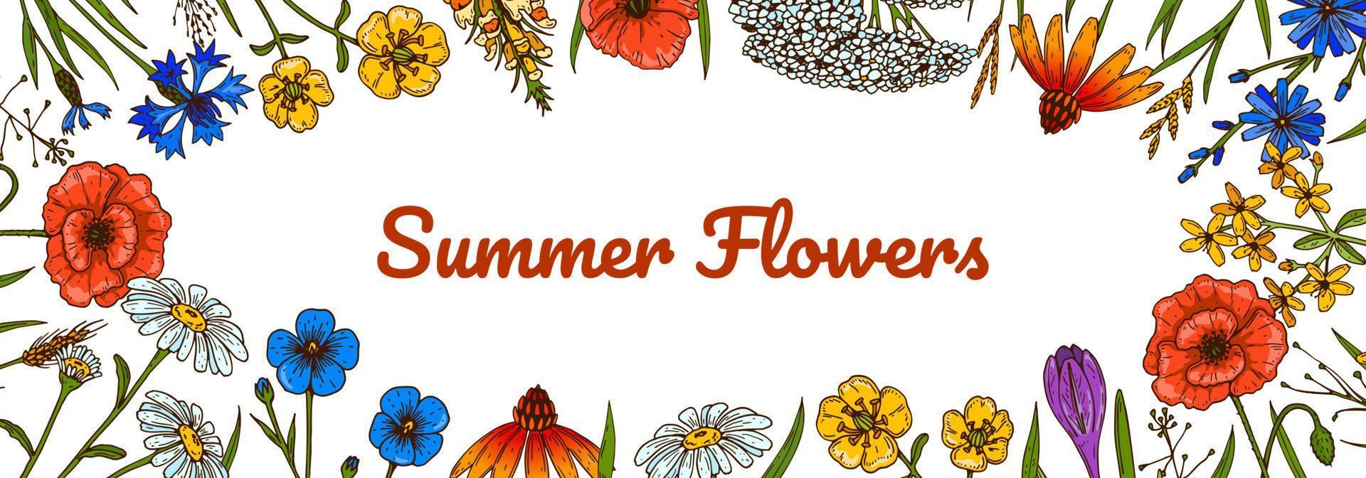Wildflowers botany design. Colorful hand drawn vector illustration. Summer background