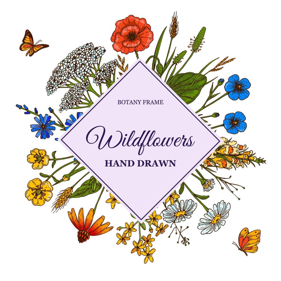 Hand drawn square summer wildflowers frame with butterflies. Vector illustration
