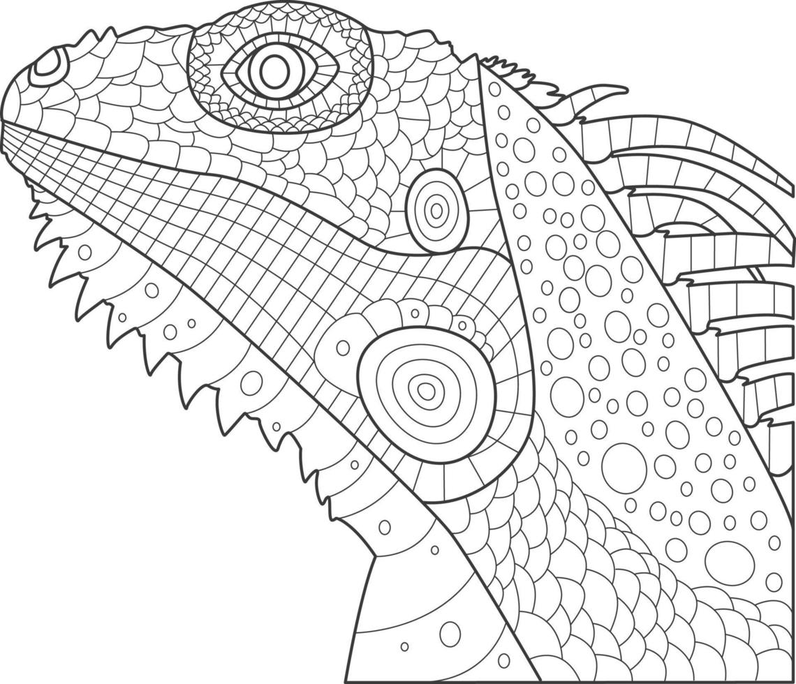 Linear lizard. Black and white coloring page for children vector