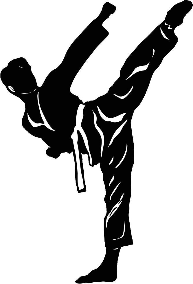 karate logo vector illustration