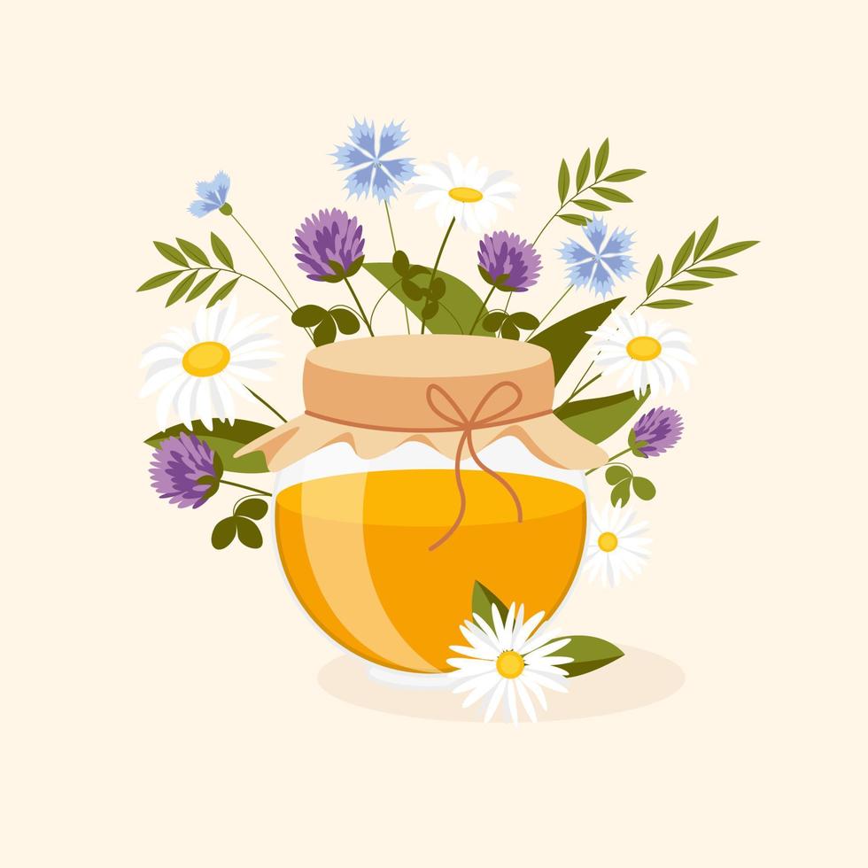 vector summer illustration of honey jar with flowers on background