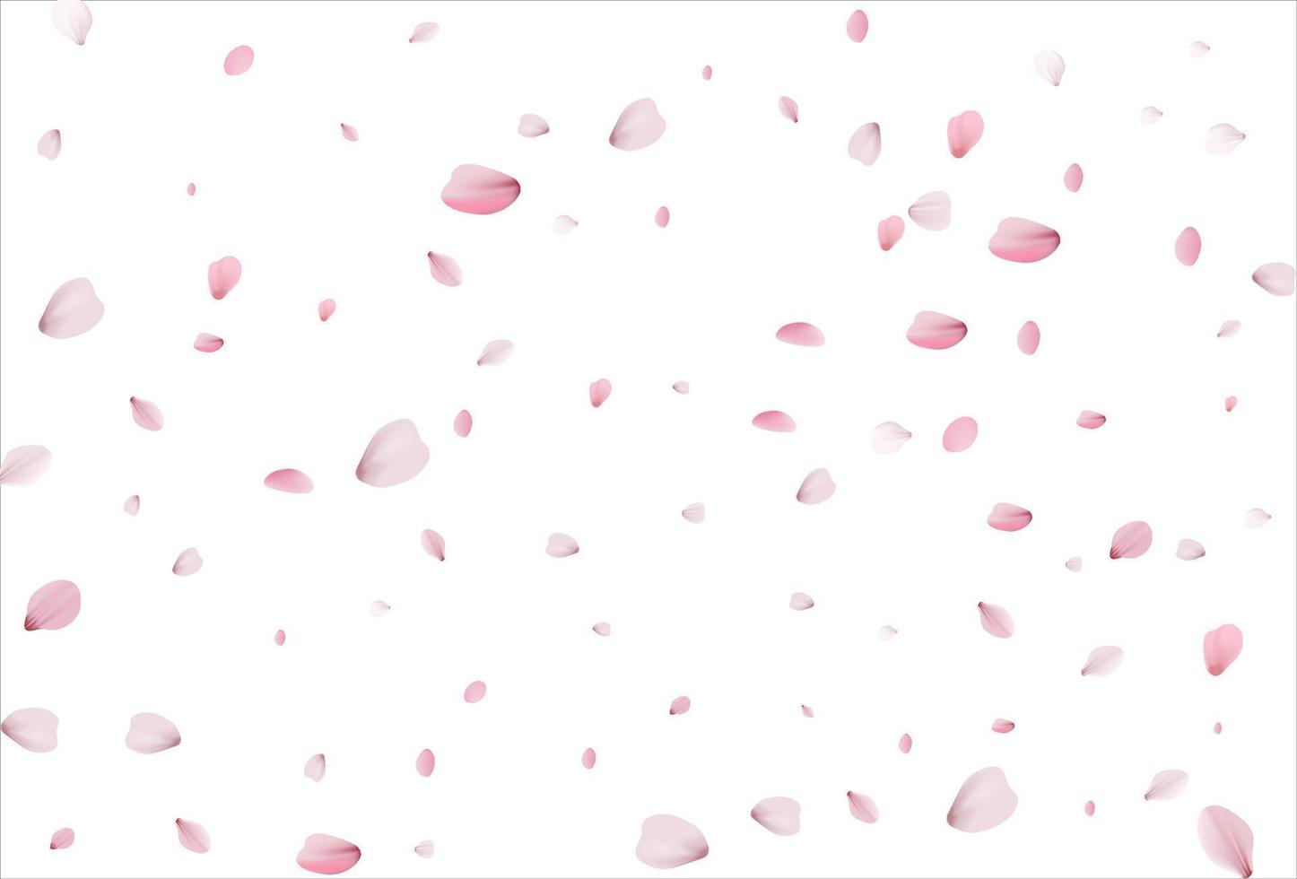 Sakura petals. Cherry petals backdrop vector