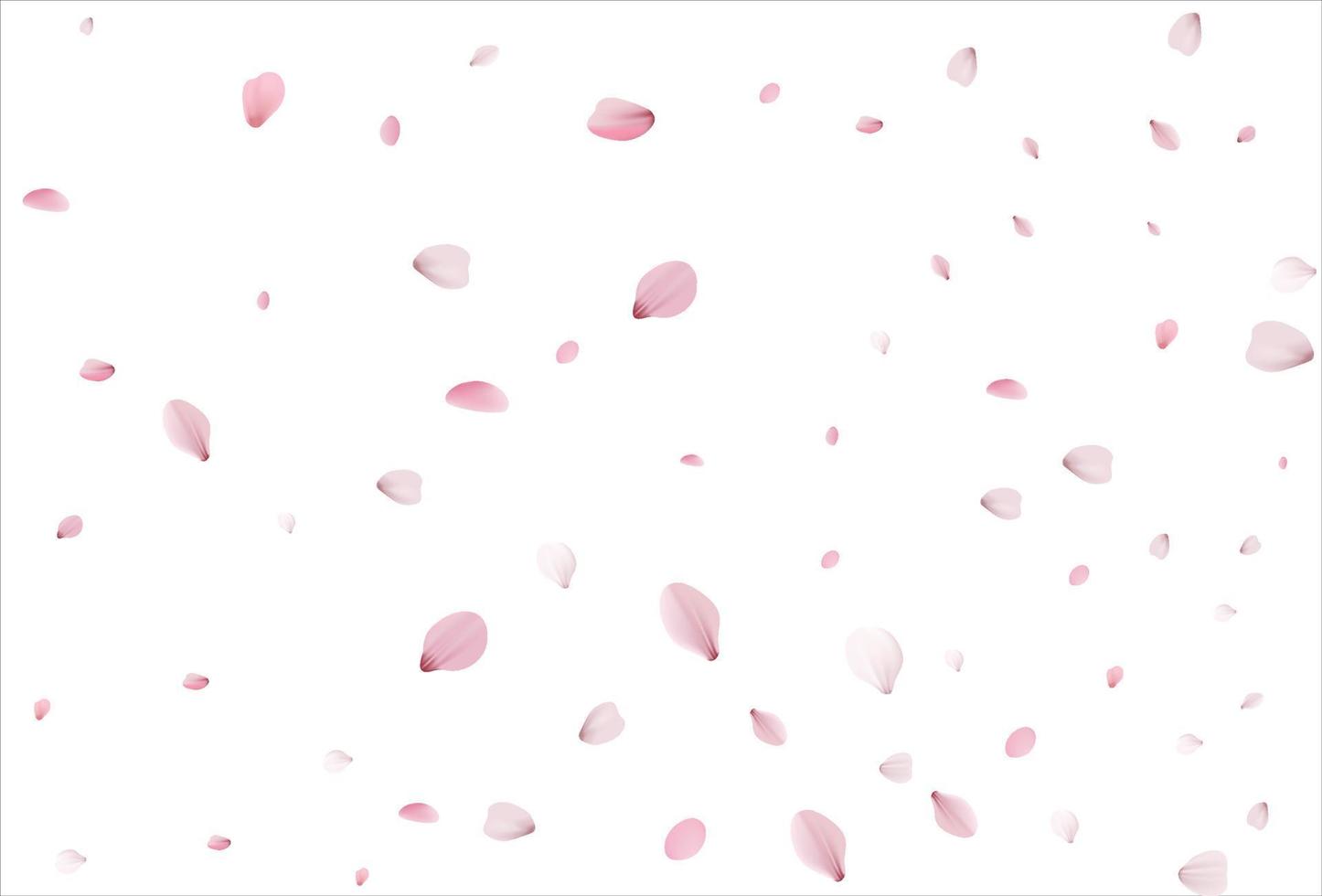 Sakura petals. Cherry petals backdrop vector