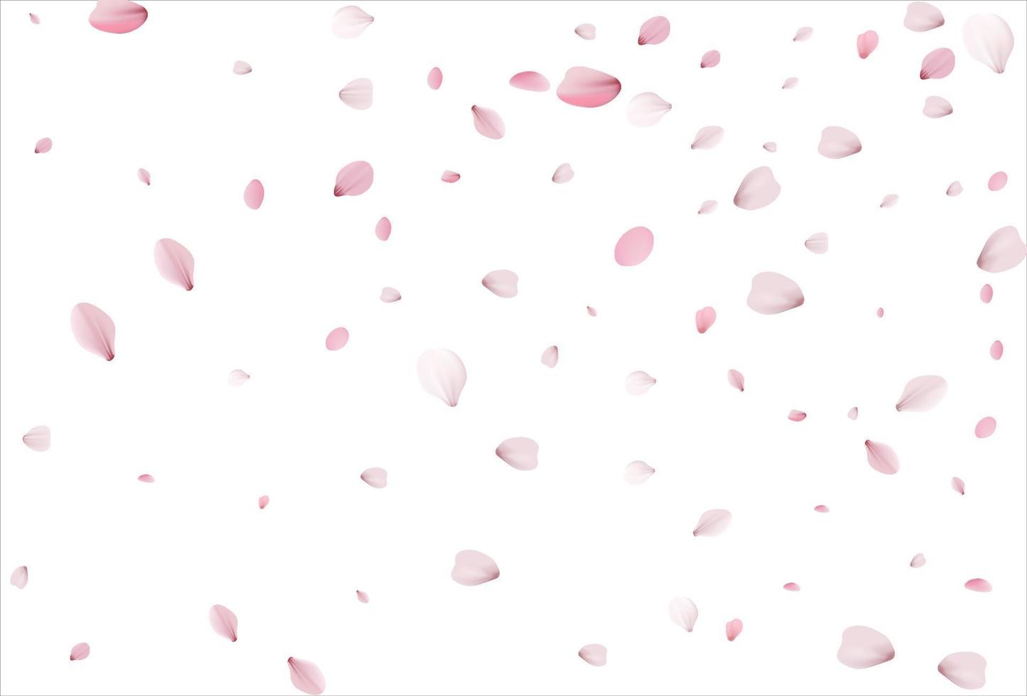 fondo de pétalos de sakura. pétalos de cereza vector