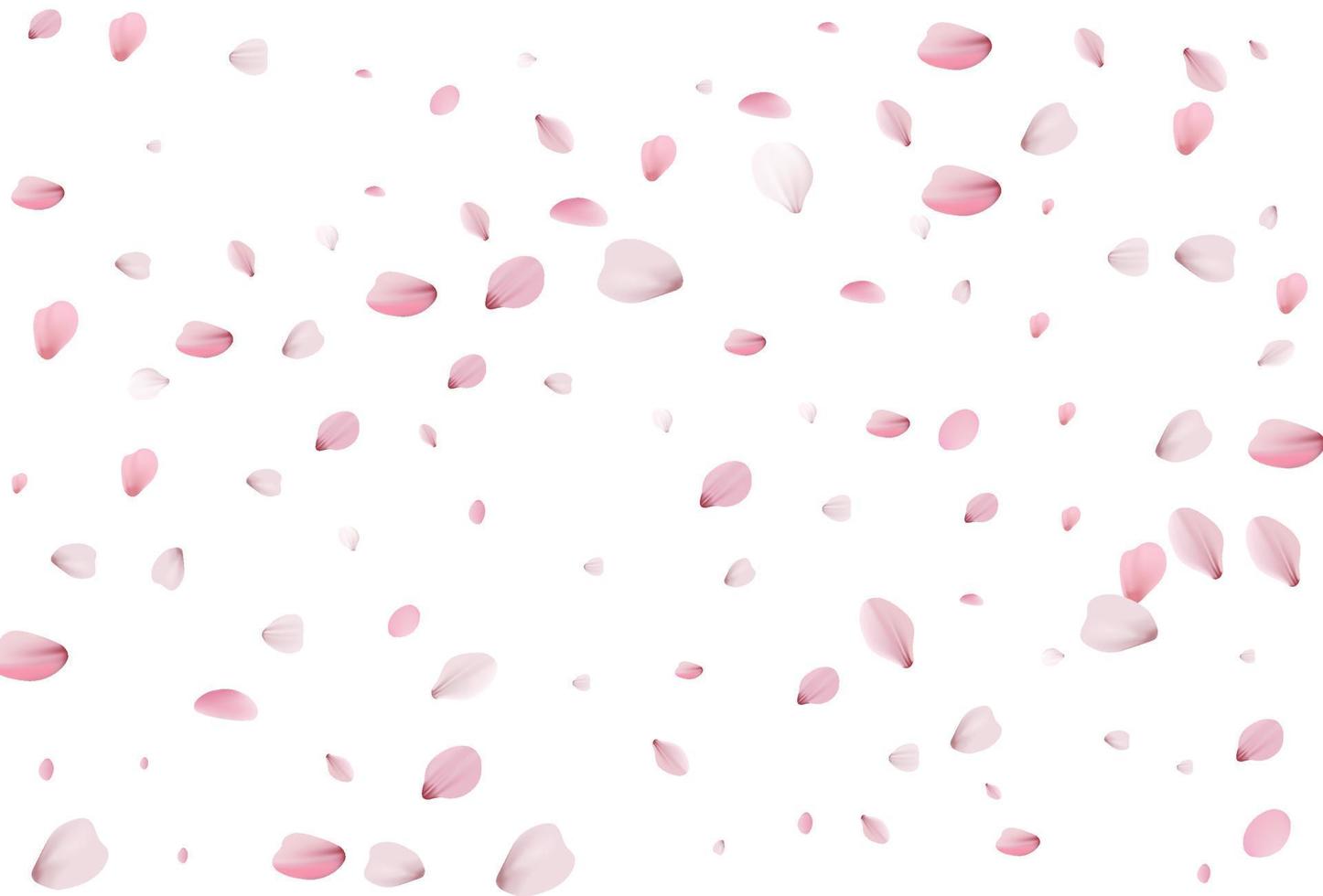 Sakura petals. Cherry petals backdrop vector