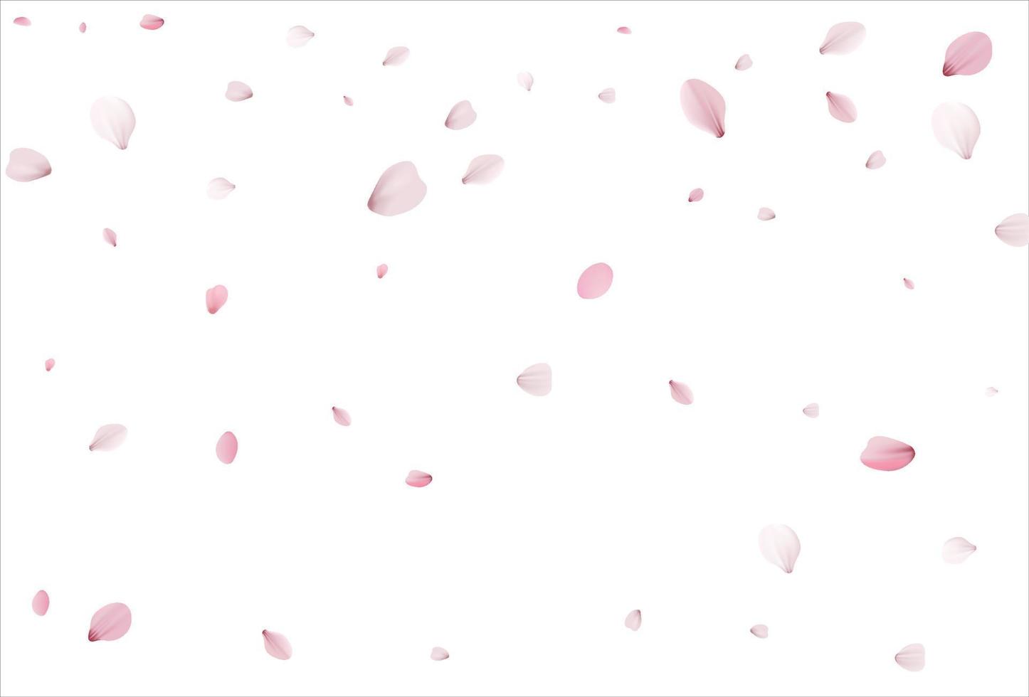 fondo de pétalos de sakura. pétalos de cereza vector