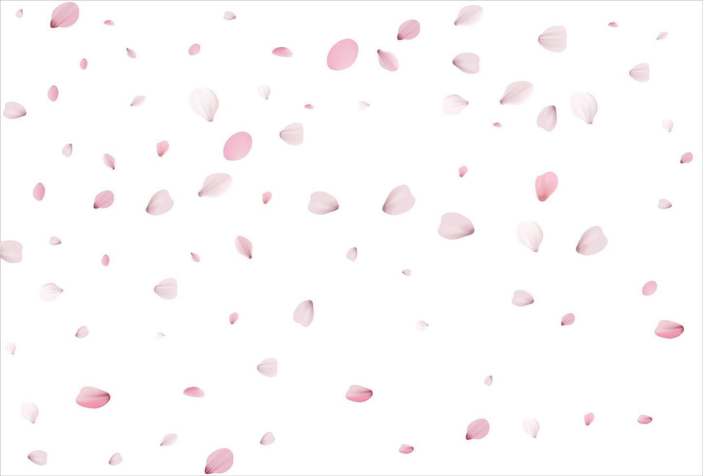 Sakura petals background. Cherry petals vector