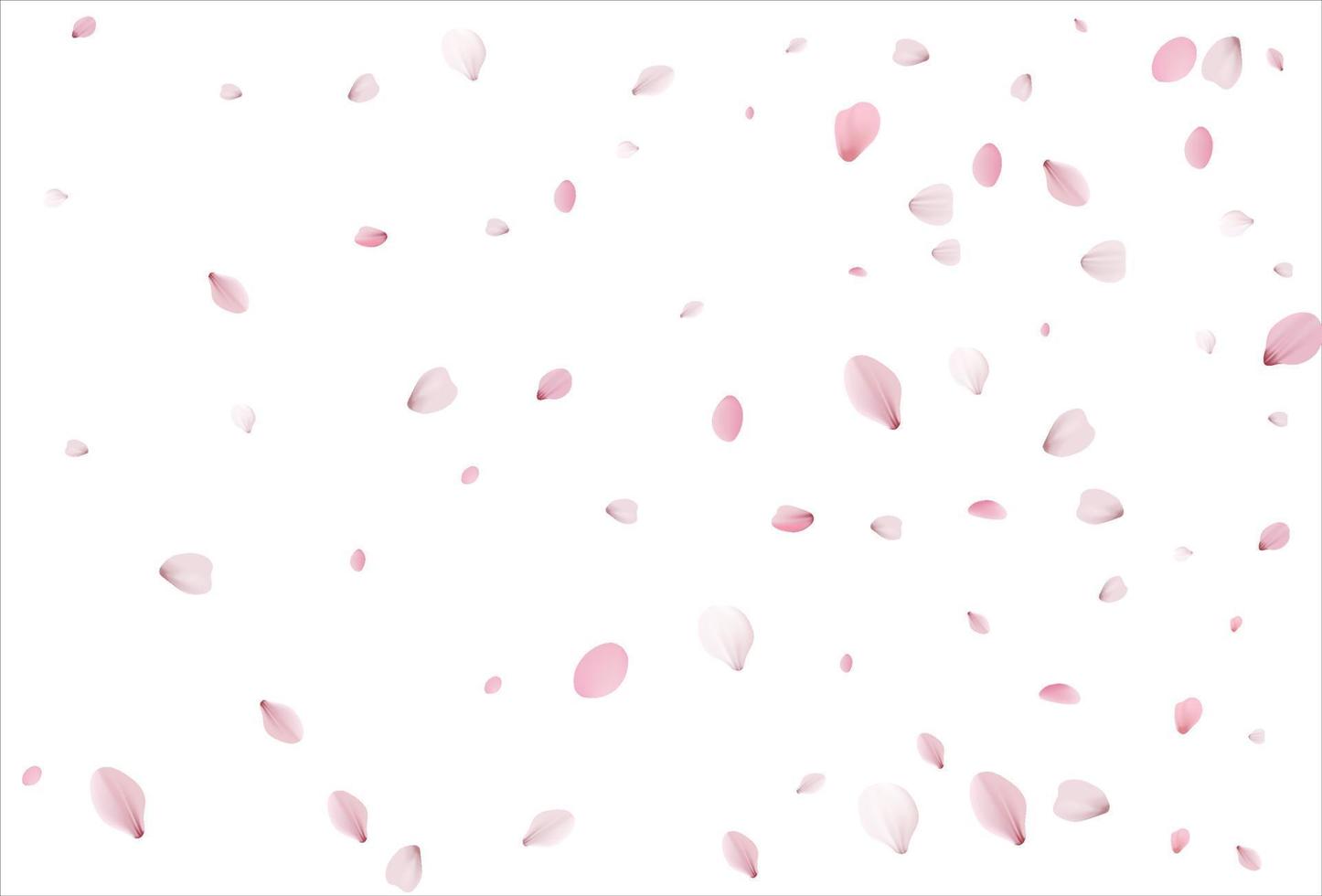 fondo de pétalos de sakura. pétalos de cereza vector