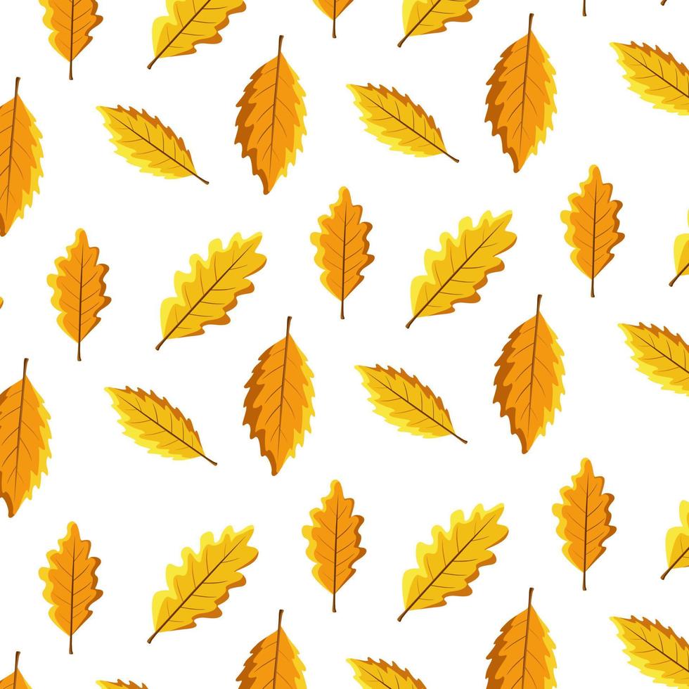 Pattern Autumn Equinox Day Vector Illustration