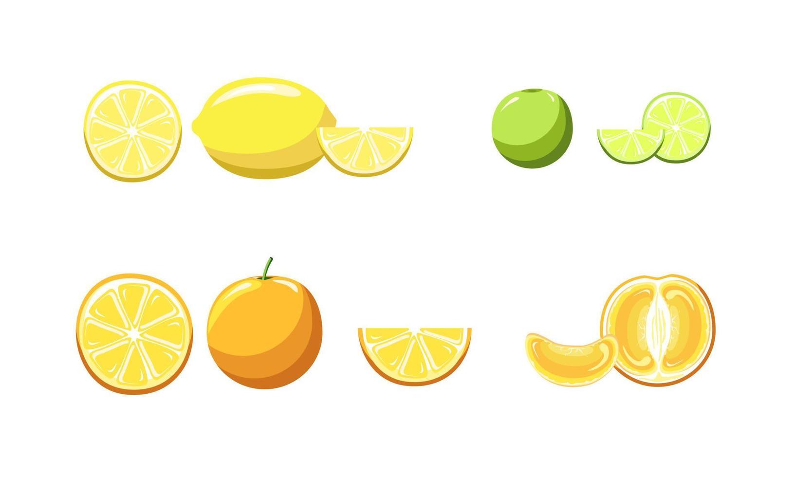 Illustration of fruit, orange, lemon, lime vector