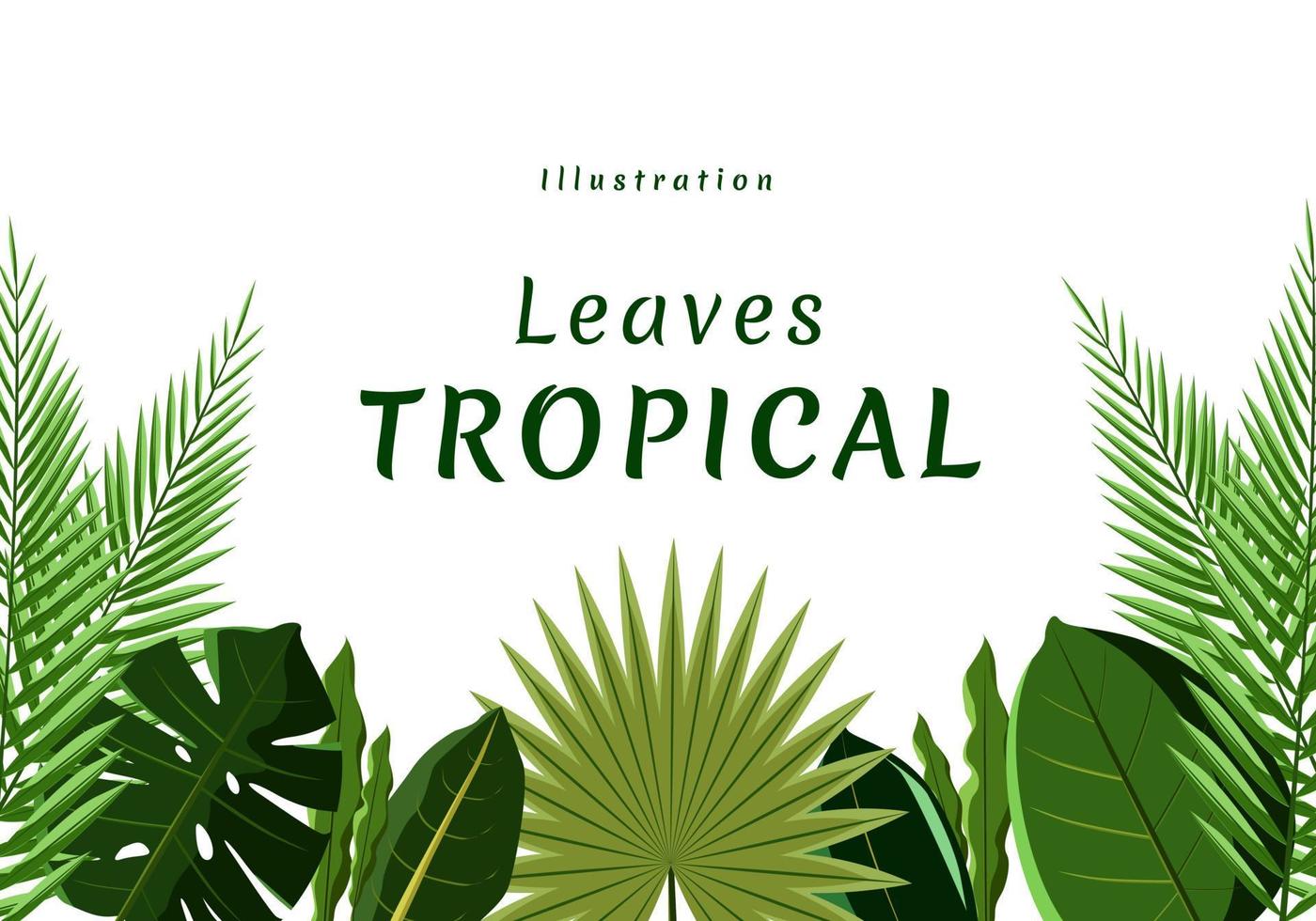 ilustración vector hojas verde tropical