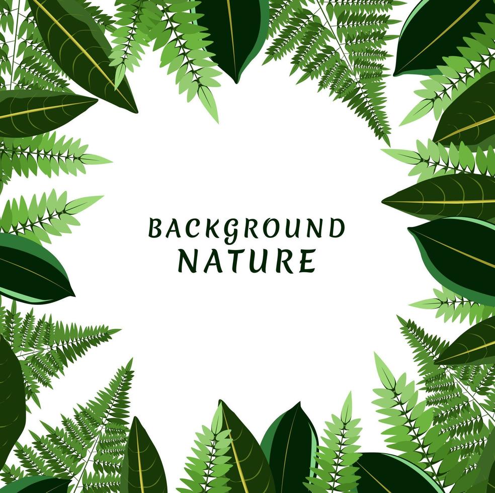 background nature tropical, leaf illustration vector