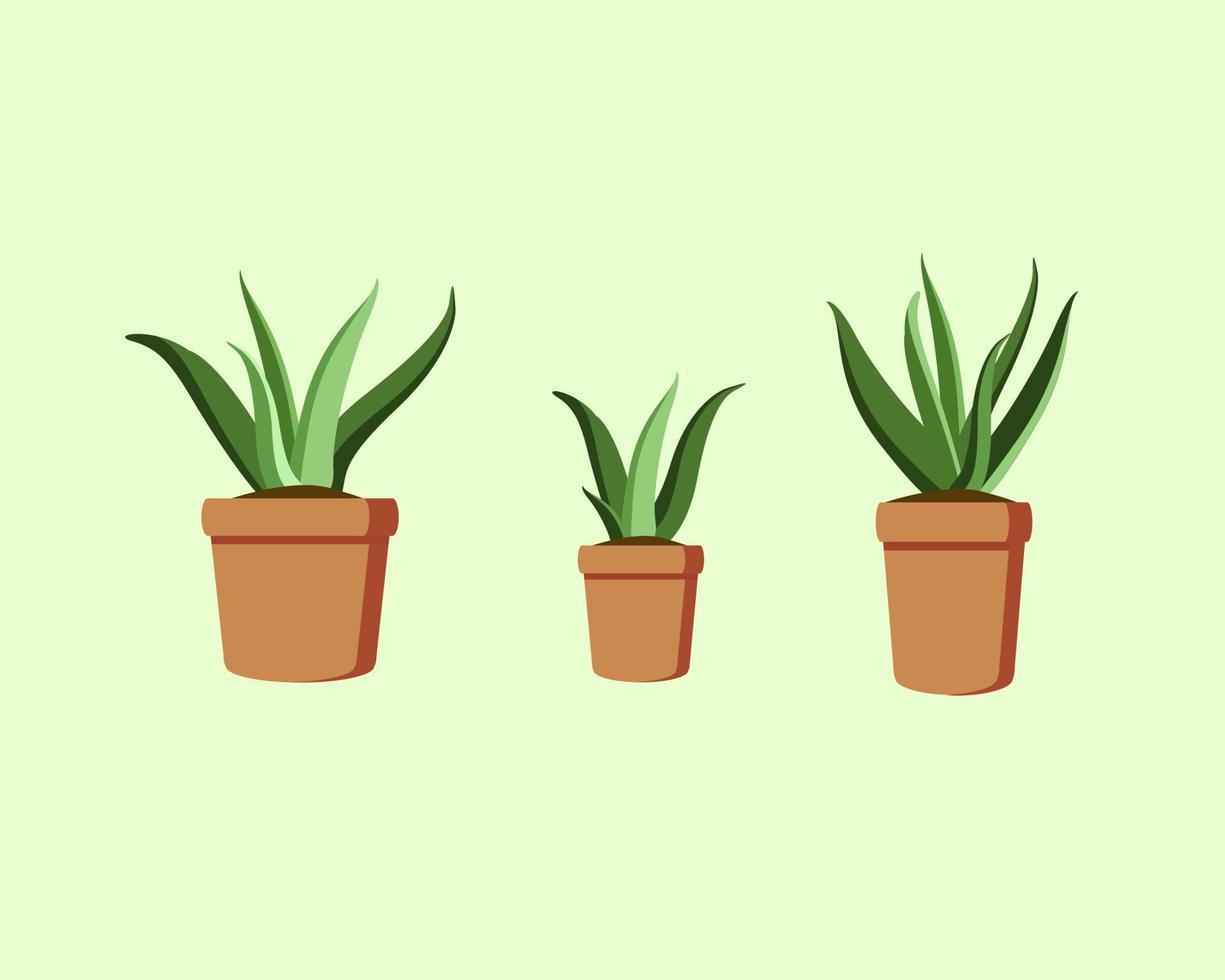 Beautiful green potted plant, design for nature theme decoration vector