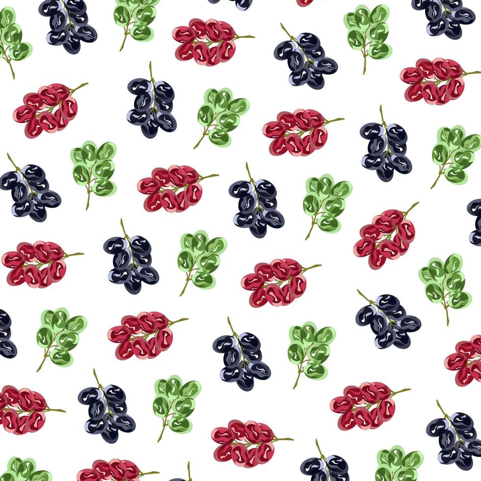 Grape fruit vector illustration background