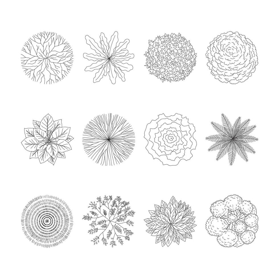 Tree Plan Top View Set vector